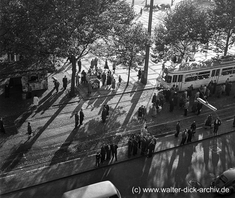 Auf dem Neumarkt 1963