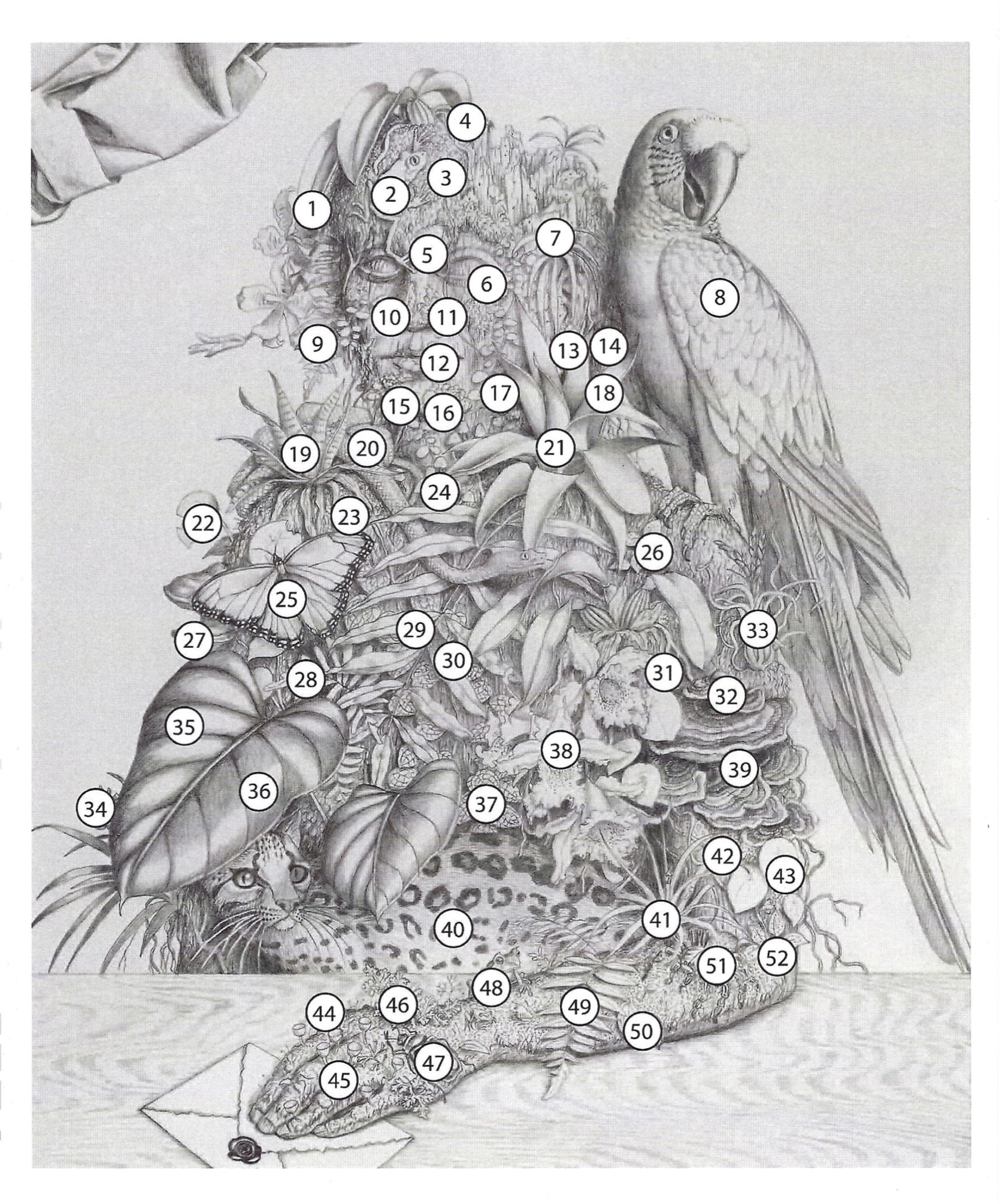 Die-Botschft-Details-Madeline-von-Foerster