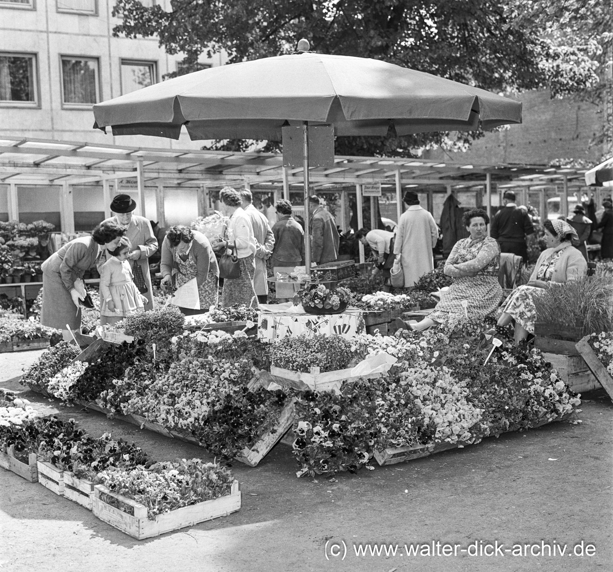 Auf dem Blumenmarkt 1963