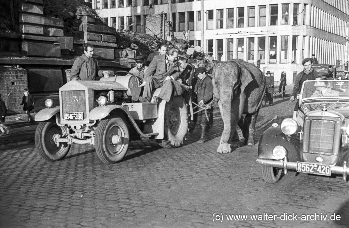 Das Ende der Reise 1955