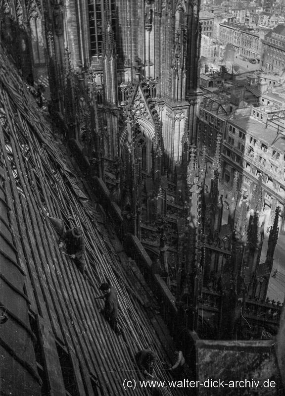 WDA019-006 Dachdecker am Dom 1946