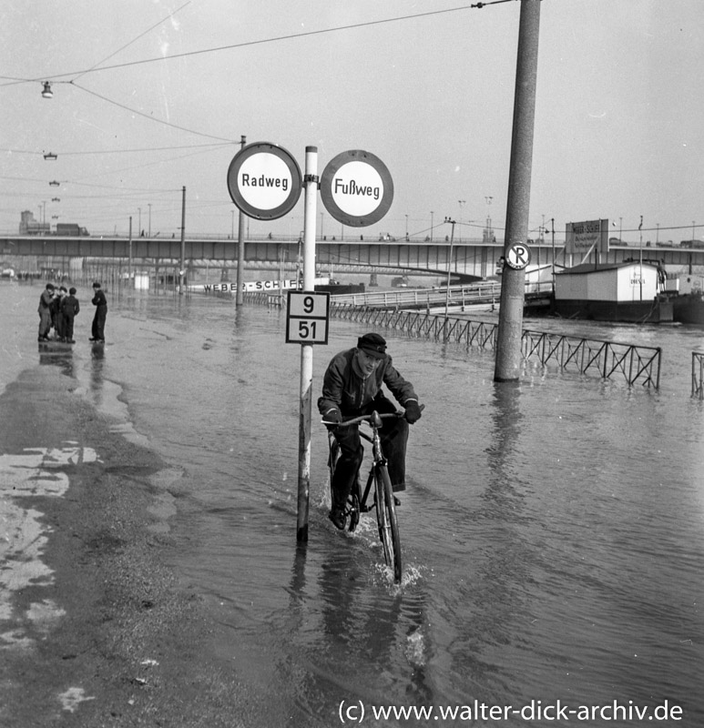 Rheinhochwasser in Köln