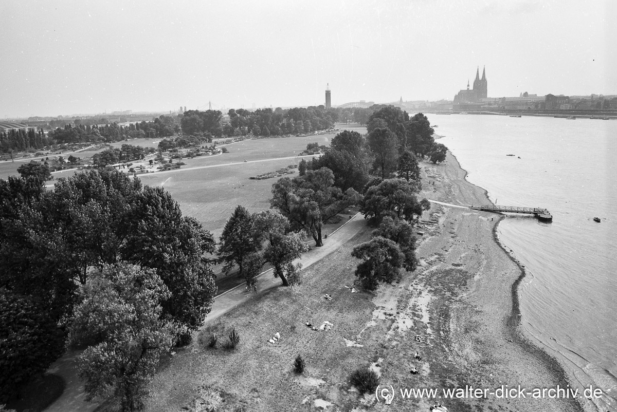 Der Rheinpark 1964