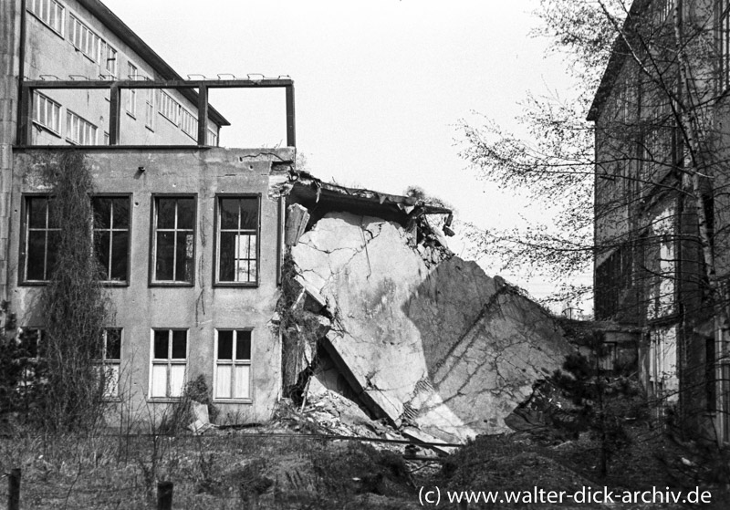 Kriegsschäden in der Universität