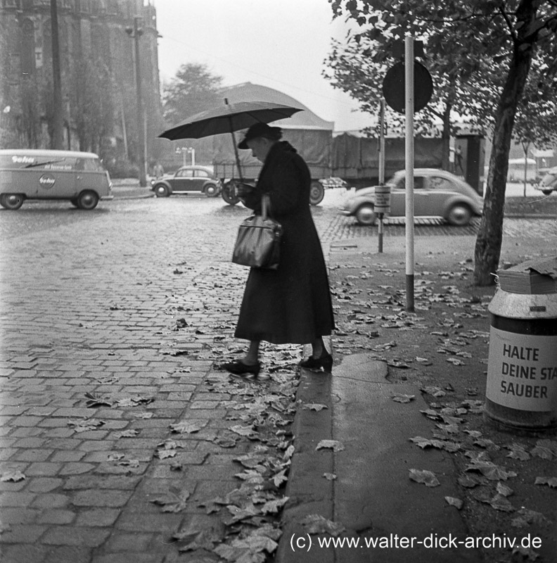 Der Weg des Herbstes 1955