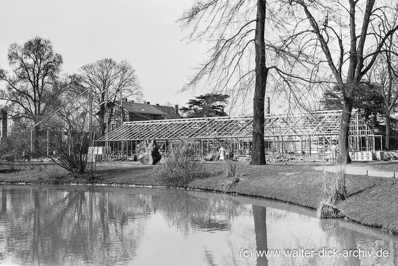 Gewächshäuser im Botanischen Garten 1957 WDA5174010