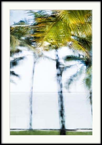 Frank-Straatmann-im-Werkladen-Palms-1 Frank Straatmann Palms #1
