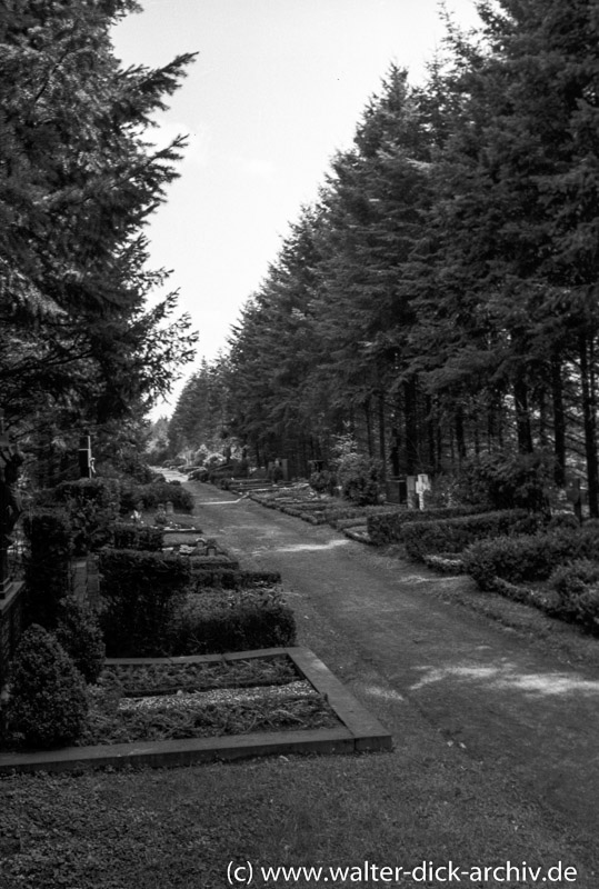 Eindrücke vom Kölner Südfriedhof 1954