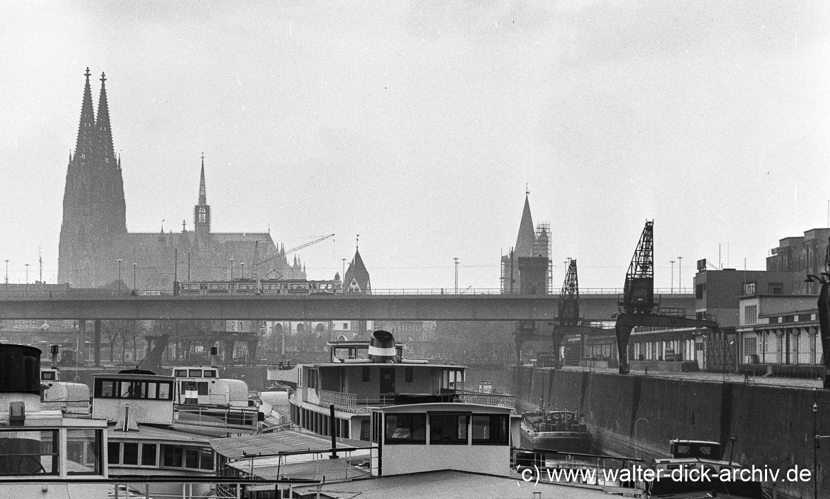 Die weiße flotte im Rheinauhafen 1962