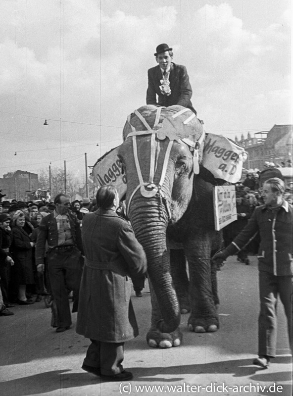 Elefant Märry im Rosenmontagszug 1949