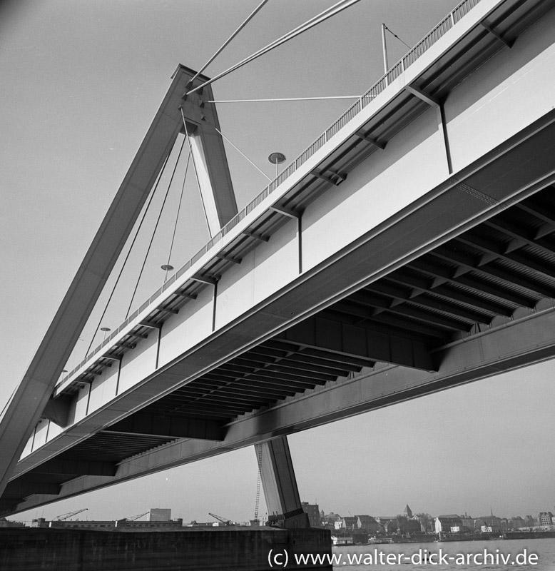 Die neue Kölner Rheinbrücke-ein attraktiver Blickfang 1959