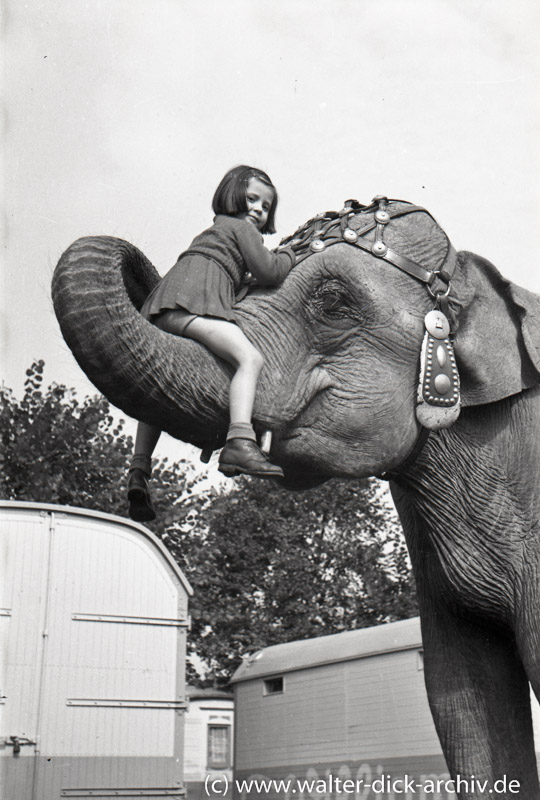 Kleines Mädchen und großer Elefant