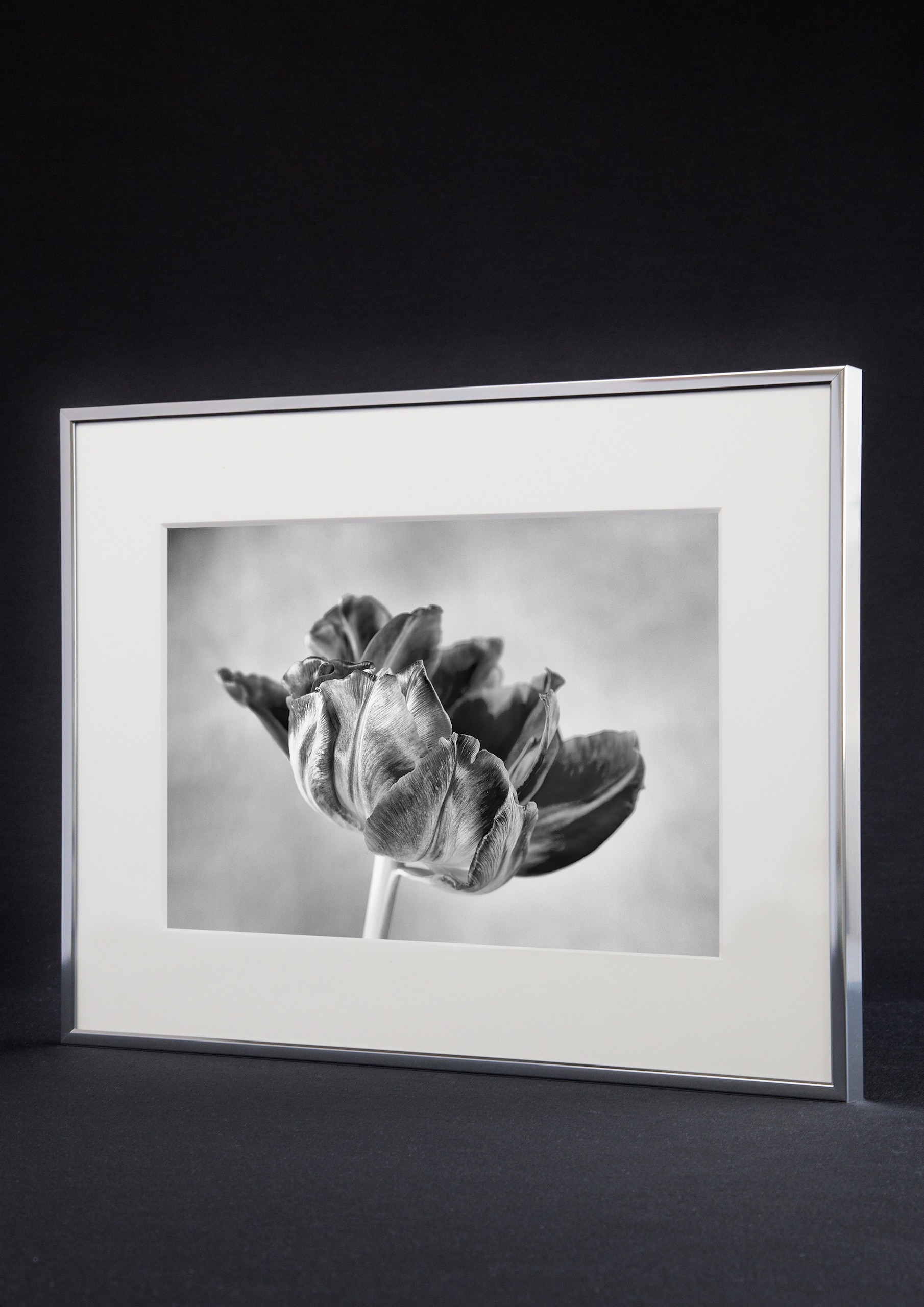 accent_ambiente_1_low